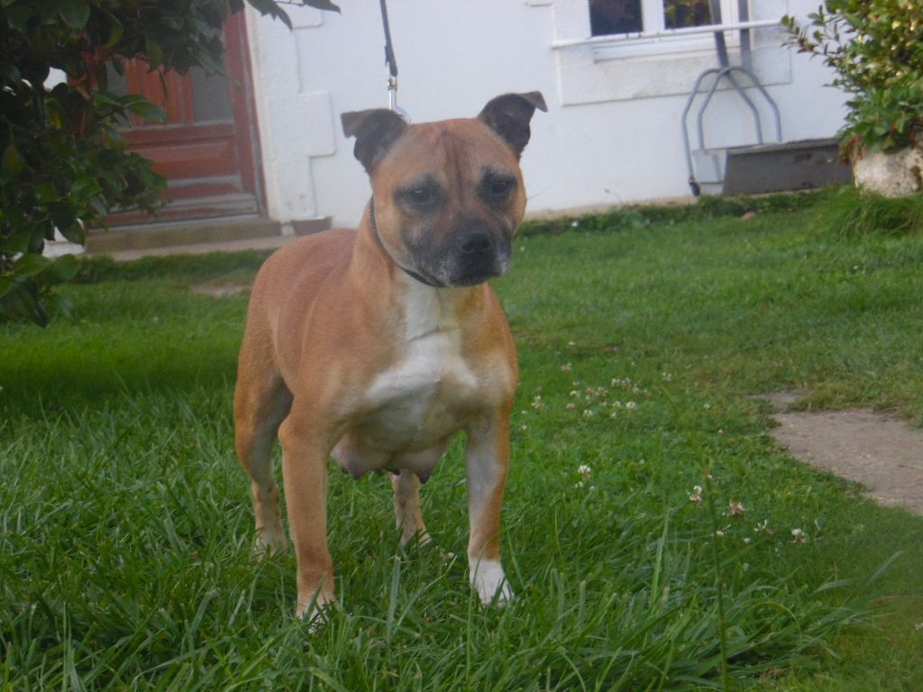 Oly (Sans Affixe)