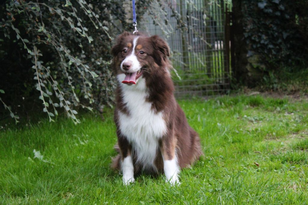 Sally De La Villa Des Truffes D'or